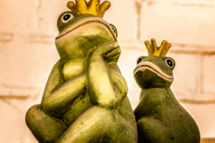frog